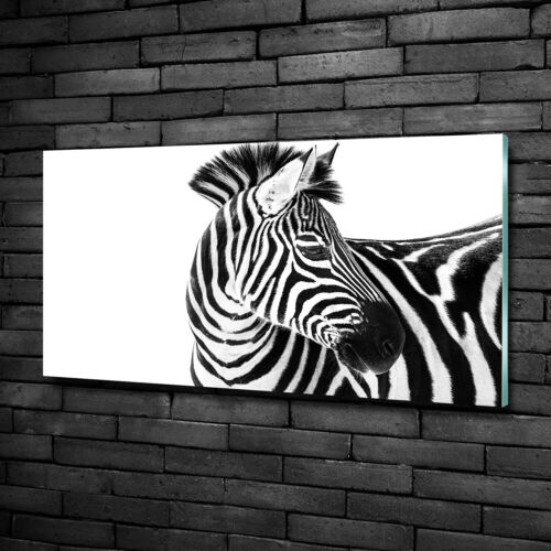 Wandbild aus Plexiglas® Druck auf Acryl 100x50 Tiere Zebra im Schnee - Bild 1 von 6