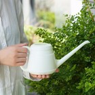 Small Watering Can Modern for Indoor Outdoor Plants House Plants Greenhouse