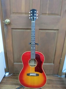 Gibson B 25 | eBay