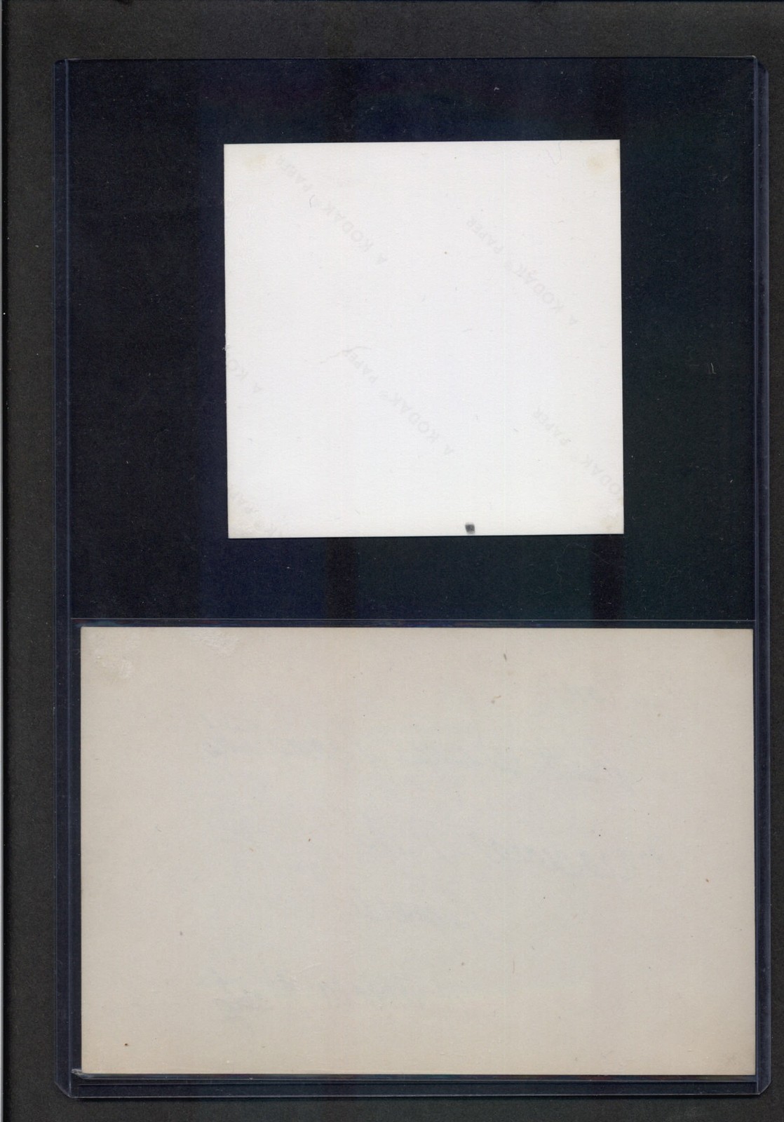 Patricia Harty Signed Autograph 4x6 Index Card And Candid Photo 