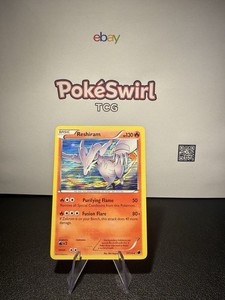 Pokemon TCG- Reshiram (Rare Holo) 017 - Plasma Freeze - LP