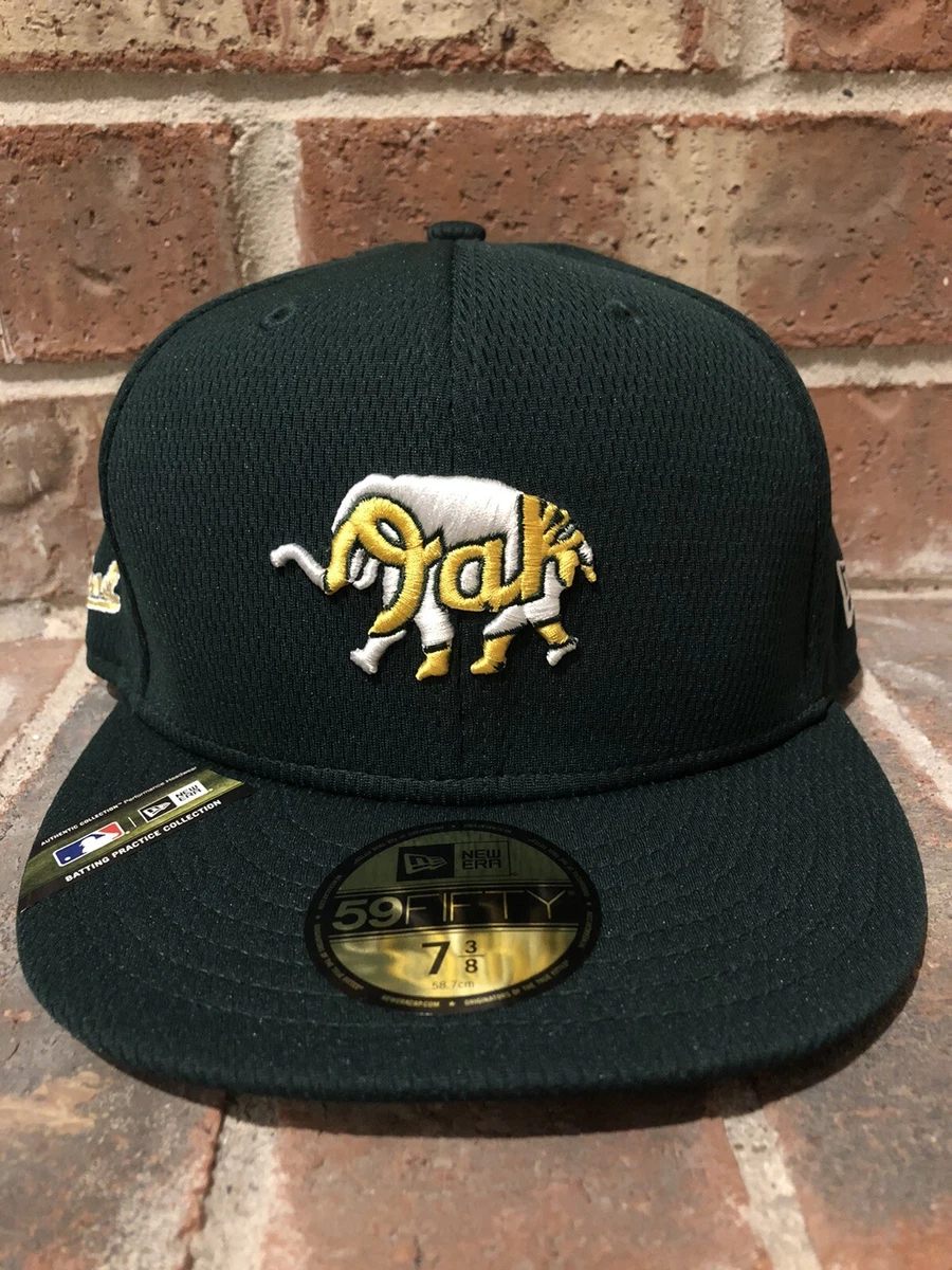 oakland athletics spring training hat