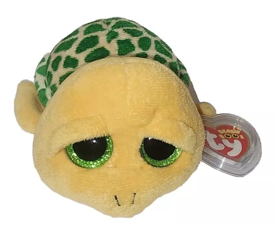 Ty beanie online boos turtle