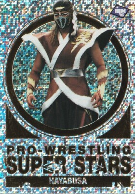 Hayabusa 1995 BBM Pro Wrestling Super Stars #SE-2 | eBay