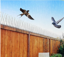 10m 20m Bird Spikes Steel Fence Anti Climb Cat Deterrent Pigeon Repellent Scared