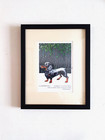 Simon Drew funny print Dachshund framed wall gift sausage dog lover humour decor