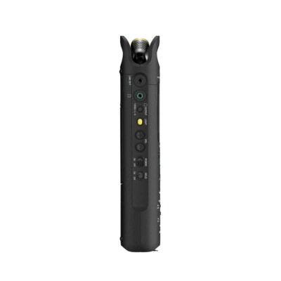 Sony PCM-D10 High-Resolution Audio Digital Recorder with 3-Way