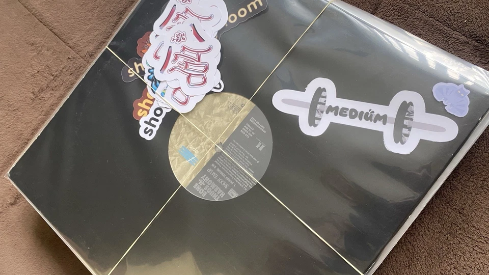 PREMIUM 12" LOT medium (18) hip-hop/r&b single promo instrumental 90s 00s nm/vg+ - Image 4 of 4