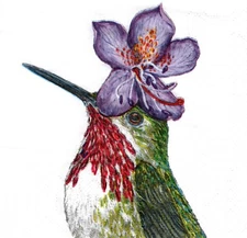 (2) Paper Beverage Napkins for Decoupage/Mixed Media, Pat, hummingbird w/ flower