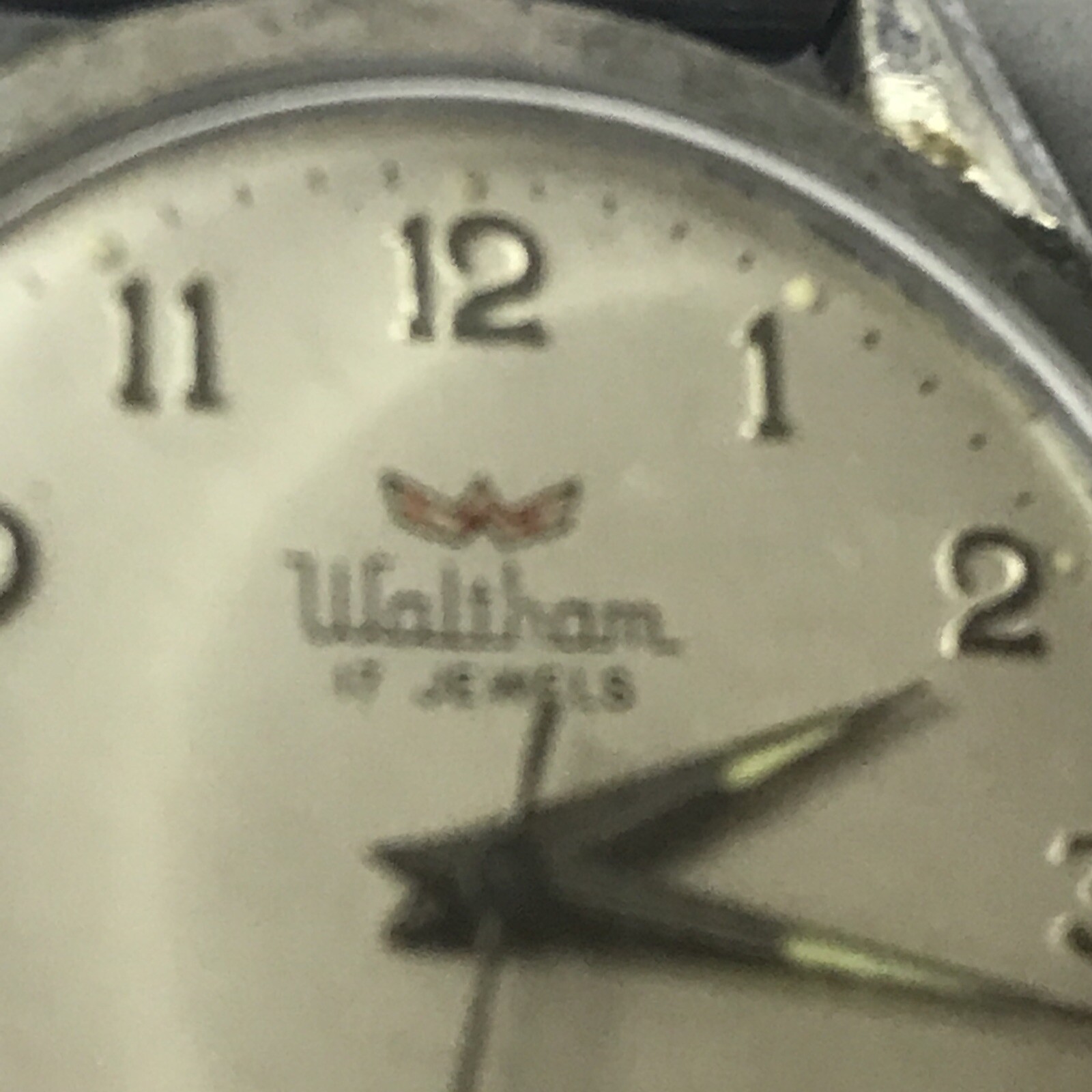 Picture 3 of 11