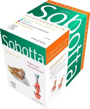 Sobotta Lernkarten Anatomie für die Humanmedizin | Lars Bräuer (u. a.) | Buch