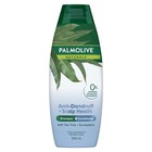 Palmolive Naturals Anti Dandruff 2 in 1 Hair Shampoo and Conditioner, 350mL