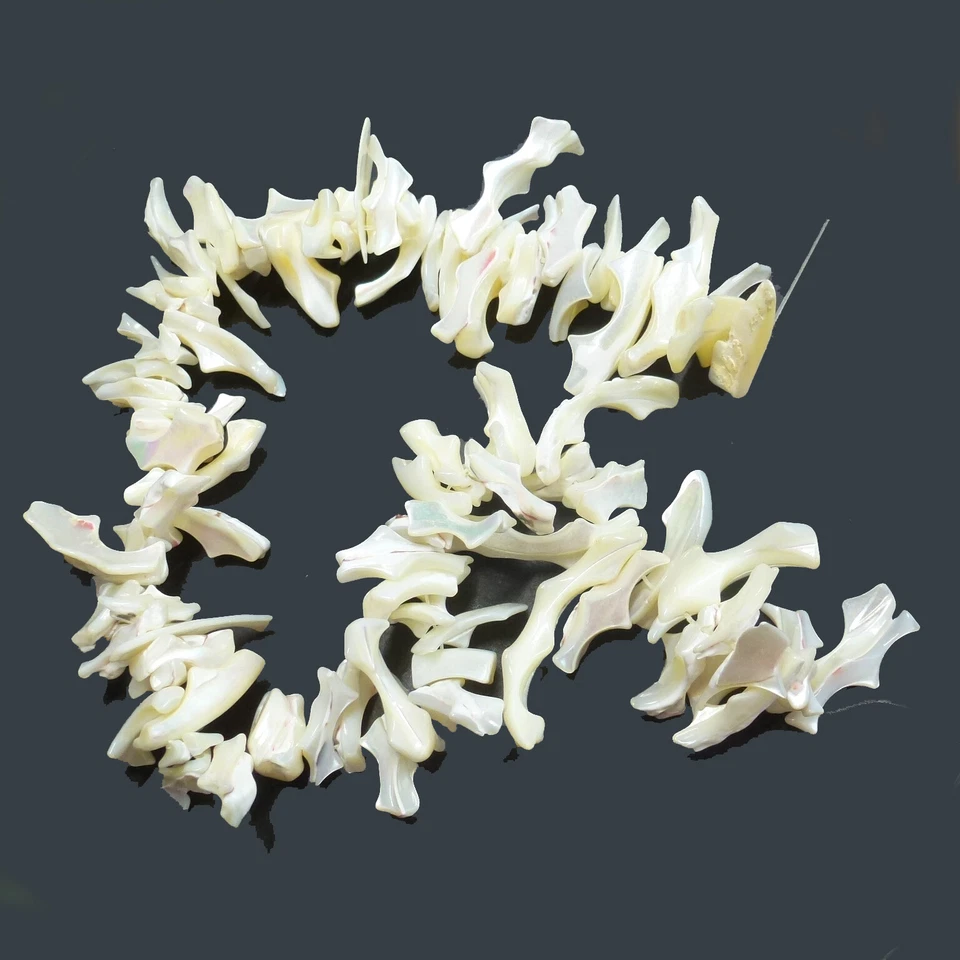 Perlen aus Muscheln Perlmutt 15-45 mm ca. 85 Stück Spacer nenad-design R047 - Bild 4 von 4