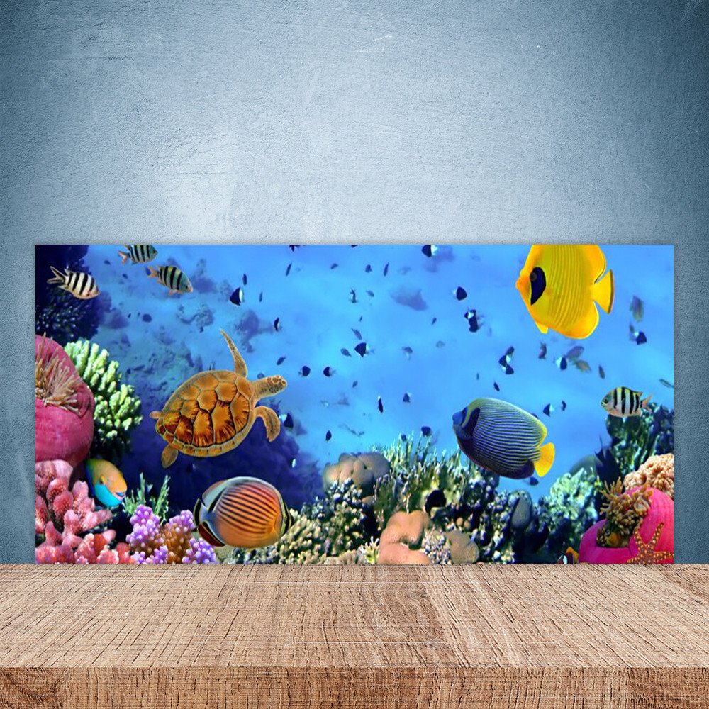 Panneau mural en verre de cuisine 100x50 motif récif pour intérieur contemporain