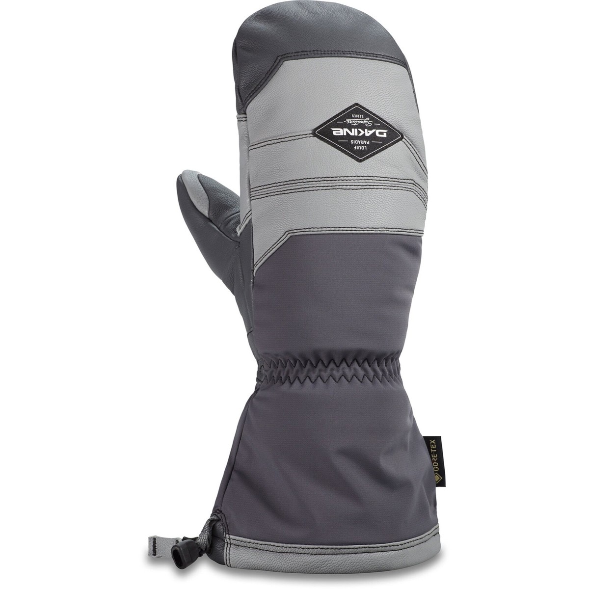 スキー・スノーボードアクセサリー DAKINE Louif Paradis GORE TEX Mitten M スキー・スノーボードアクセサリー DAKINE Louif Paradis GORE TEX