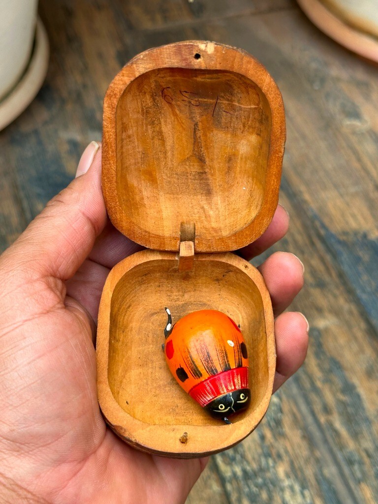 Vintage Wooden Wiggly ladybug in nut shaped wooden box scare the