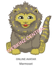 Webkinz Classic Marmoset Code Only  messaged 