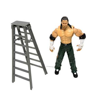 Matt Hardy + Leiter - Jakks Pacific 2007 WWE Ruthless - Gut #1966