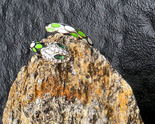 Schlangenring silberfarben grün/weiß Emaill...