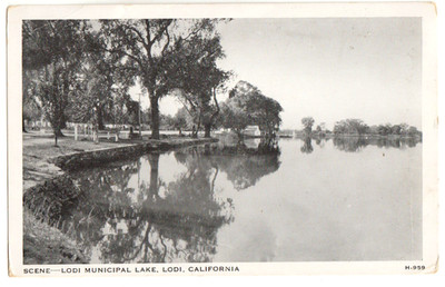 Postcard ''Lodi Municipal Lake, Lodi, California''