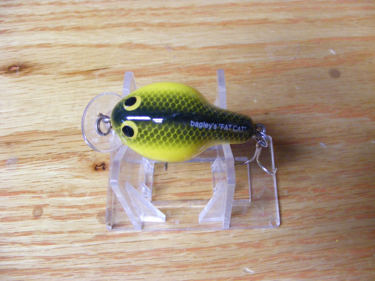 best spinning reel and rod for trout fishing Catch More Fish® Kit Custom Boxes Smooth Trunkfish On Coral Size:9 Inch