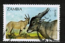 Zambia 1992 SG701 40k Antelopes Eland Used