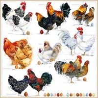 20 Servietten Poulets Arten HüHner Eier Bauernhof Tiere Haustiere Garten 33X33Cm