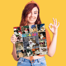 2026 Calendar - Funny Cat Calendar 2026, 12" x 24" Open , Jan.2026 - Dec.202...