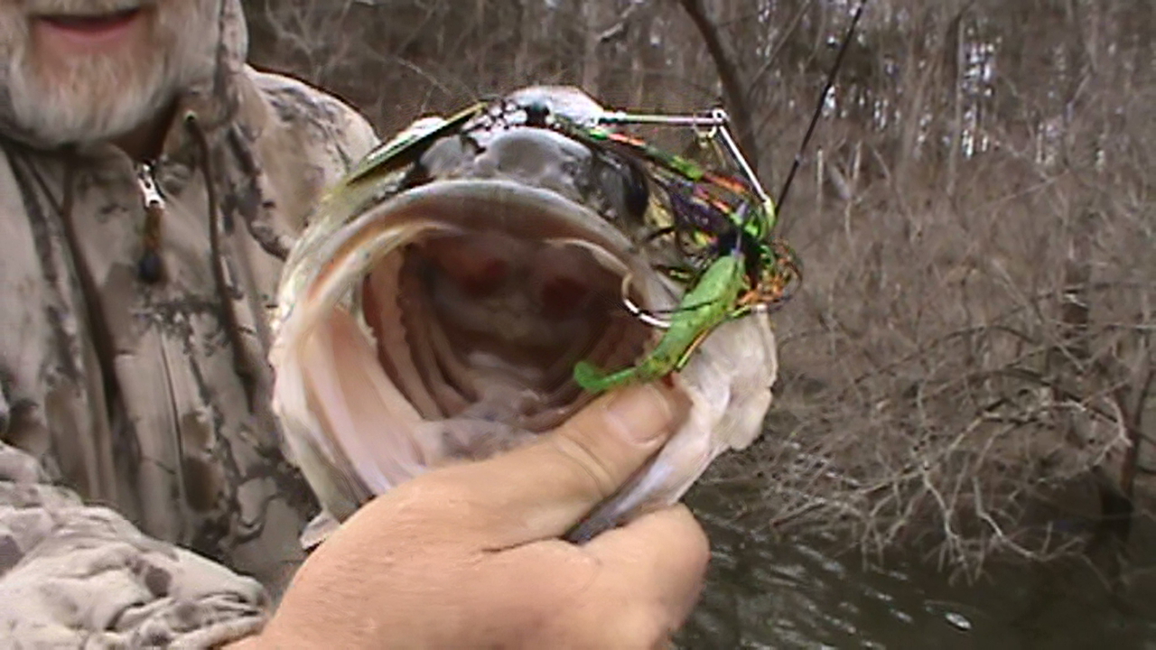  *)((( NEW GIRLY GIRLSEXY SHAD 1/2oz TANDUM BUZZBAIT BIG BASS BAIT *)(((  - Image 2