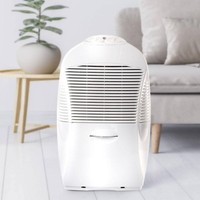 EBAC 15 - Dehumidifier