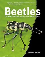 Beetles | The Natural History And Diversity Of Coleoptera | Stephen A Marshall