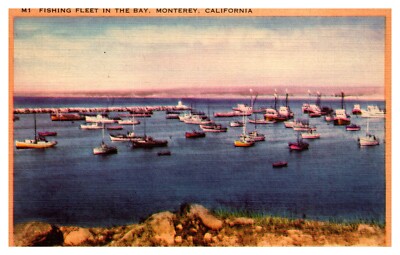 Monterey California Fishing Fleet in the Bay Monterey Harbor M1 Linen Postcard