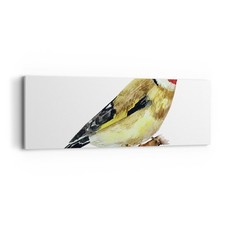 Quadro su Tela 90x30cm Cardellino uccello acquerello Stampe Immagini Murale