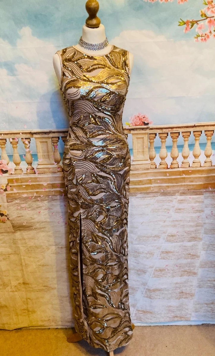 sachin and babi light blue dress Phase Eight Collection 8 Vienna Beaded Maxi Dress, Light Brown main image 0