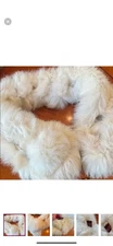 New Rabbit Collar /Scarf Made In Italy  One Size Front Closure