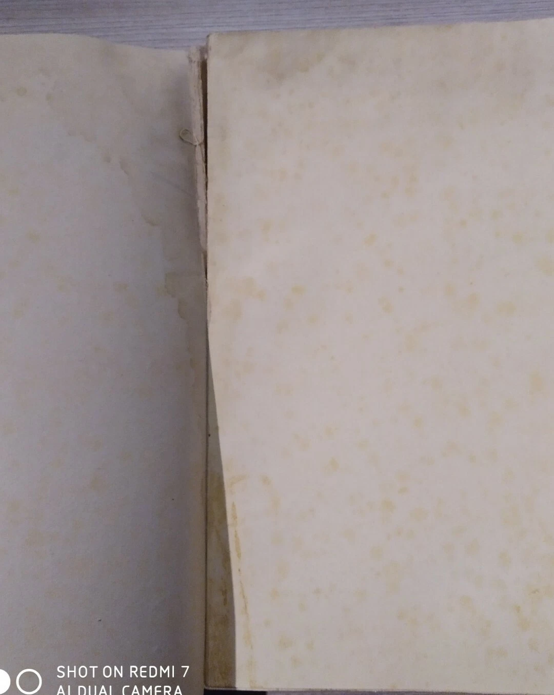 Foto 4 di 12