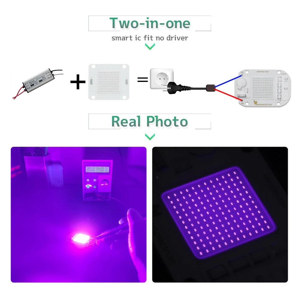 Chip de lámpara LED UV COB 50W 110V sin conductor 395nm para curar luz negra germicida Foto 2 de 4