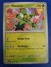 Pokémon TCG Paldean Fates: Maractus (003/091) - Common - Near Mint