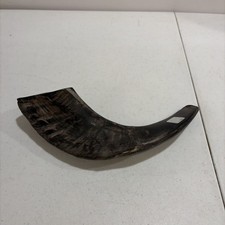 Kosher Polished Ram's Horn Shofar from Israel Jerusalem 9.5"