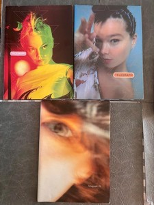 Bjork Magazine | eBay