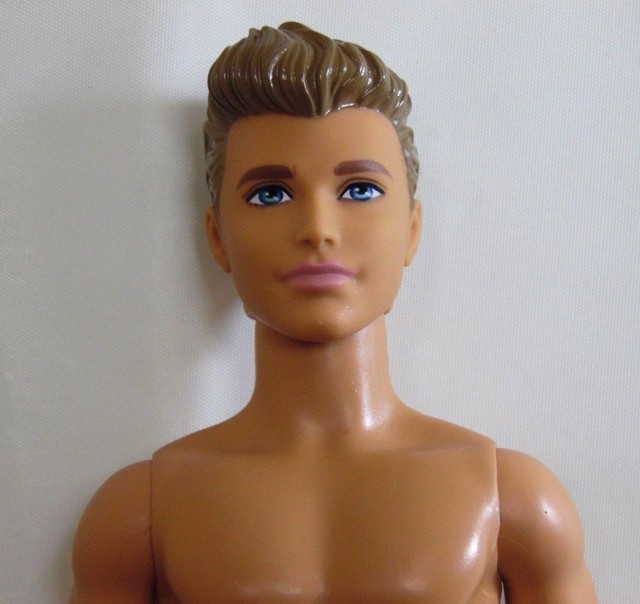 Barbie Ken Doll Nude Camping Fun Dark Brown Hair White Streaks