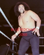 SAMOAN SIKA WRESTLER 8 X 10 WRESTLING PHOTO NWA WWF