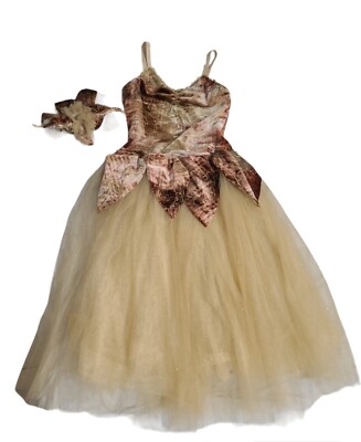 REVOLUTION DANCEWEAR DRESS GIRL SIZE 2 AUTUMN FAIRY TUTU COSTUME COSPLAY  HAIRTIE | eBay