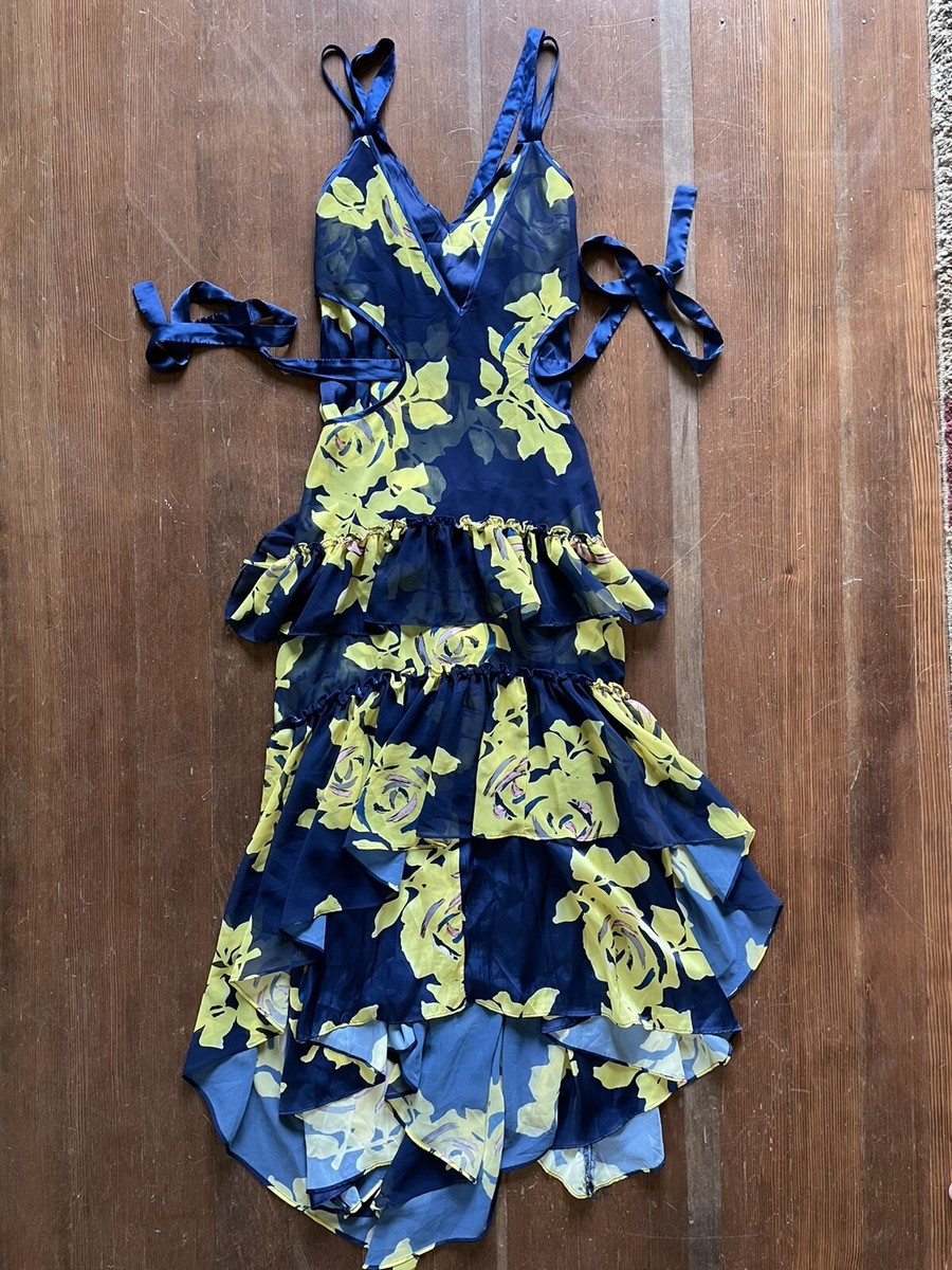 amy rose blue dress Flora Appliqu Dress Sky Blue