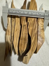 Olive pieces of sacred olive wood for making various decorations