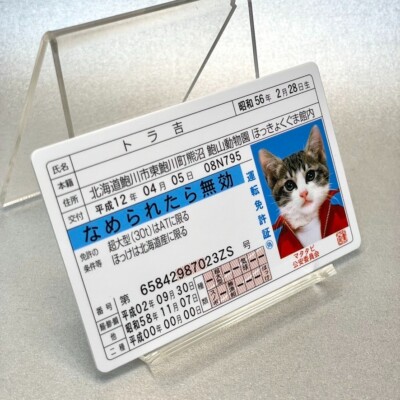 Nameneko Drivers License ID Card Torakichi Cat TCG Card Japan