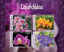 Orchids Cymbidium sp.