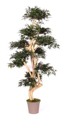 artplants Kunstbaum Japanischer Ahorn SLAWIK, Echtstamm, grün, 185cm