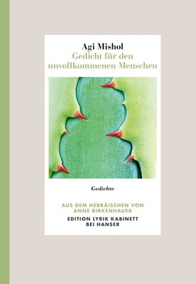 Gedicht für den unvollkommenen Menschen | Agi Mishol | Buch | 112 S. | Deutsch