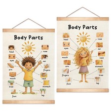 HEYJEEPER Body Parts Learning Posters Set of 18.5"L x 14"W, Beige-Body
